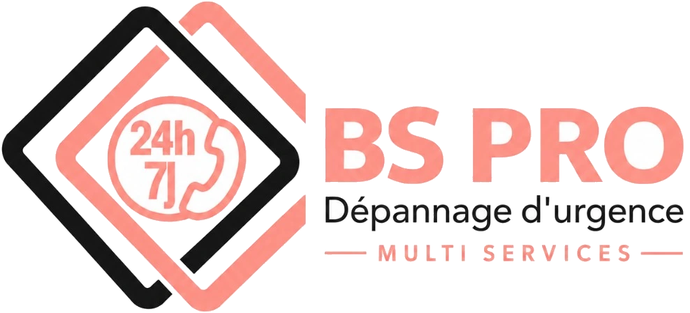 BS PRO Multiservices